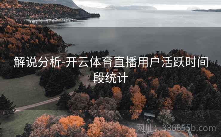 解说分析-开云体育直播用户活跃时间段统计