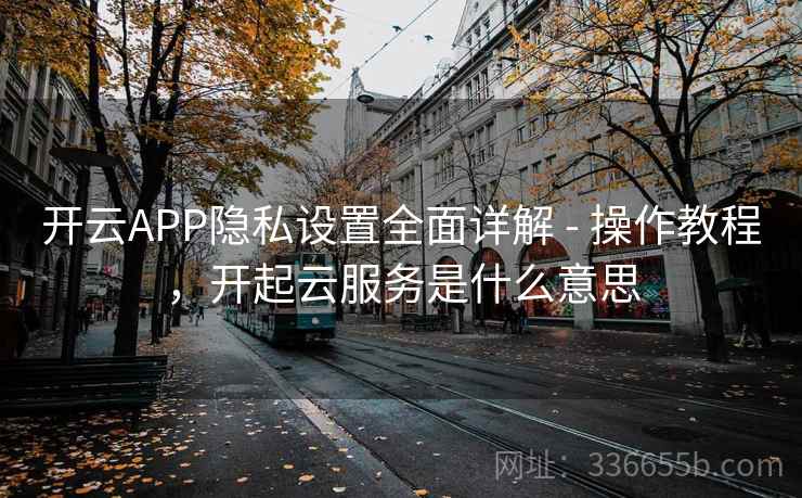 开云APP隐私设置全面详解 - 操作教程，开起云服务是什么意思