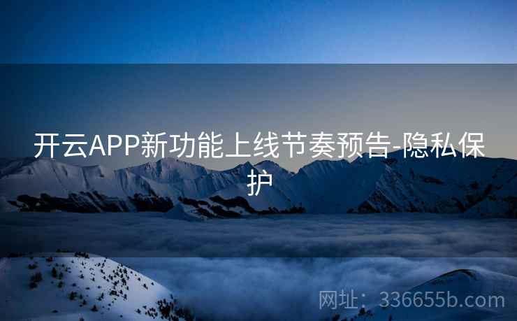 开云APP新功能上线节奏预告-隐私保护