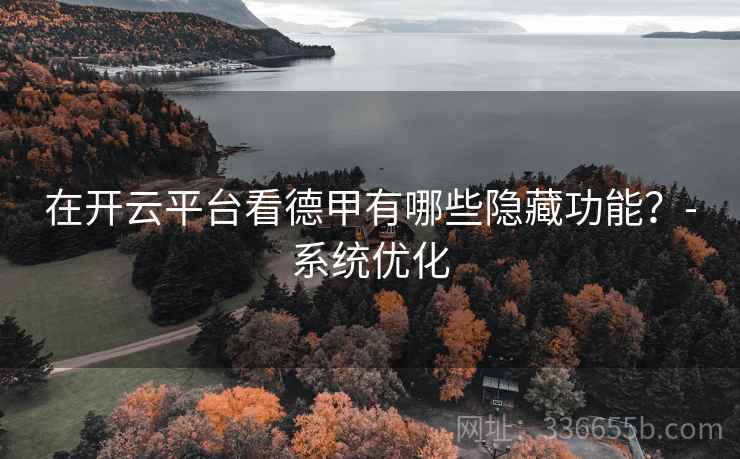在开云平台看德甲有哪些隐藏功能？-系统优化