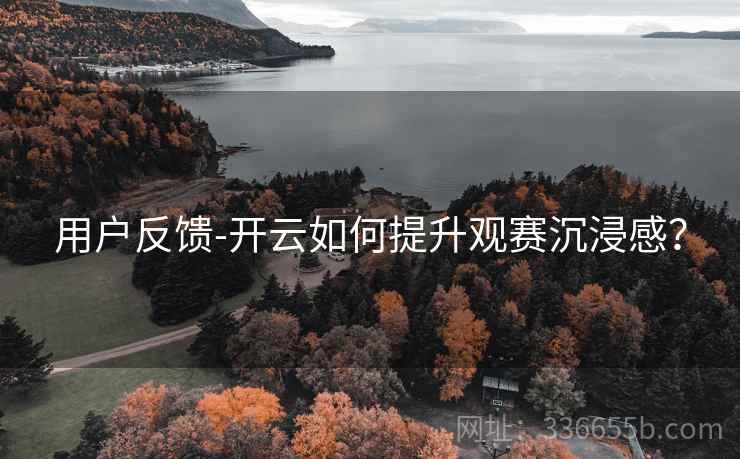 用户反馈-开云如何提升观赛沉浸感？
